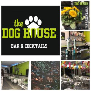 benidorm_dog_house_transfers